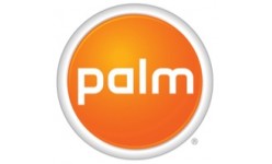 Palm